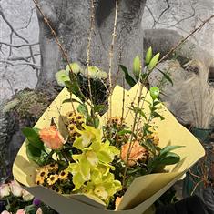 Orchid Woodland
